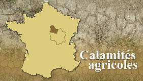 Photo illustrant les calamités agricoles dans l'Yonne, ici par un montage illustrant une sécheresse