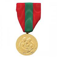 Médaille de la famille française