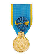 Médaille de la jeunesse, des sports et de la vie associative